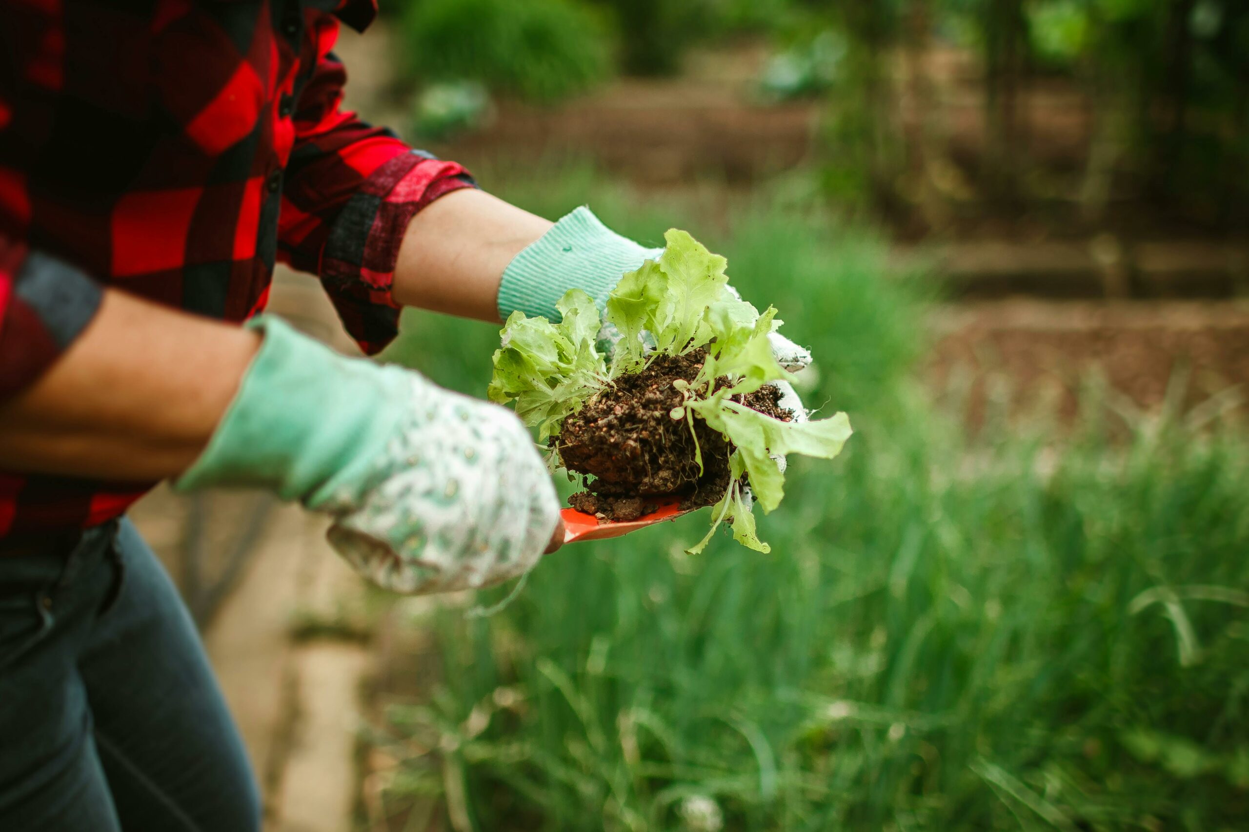 Business & Farming